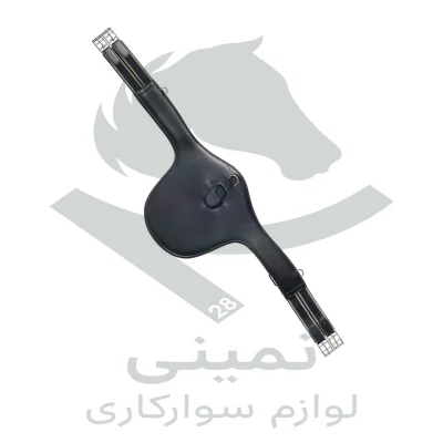 تنگ پرش پرستیژ