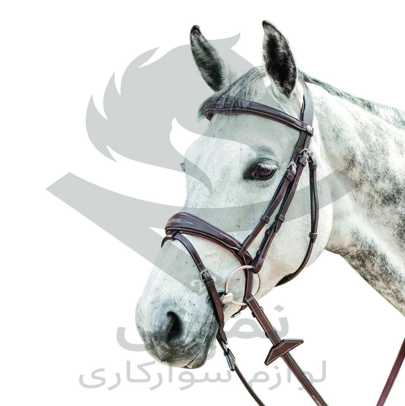 Prestige E141 Kallegi Prestige E141 Kallegi