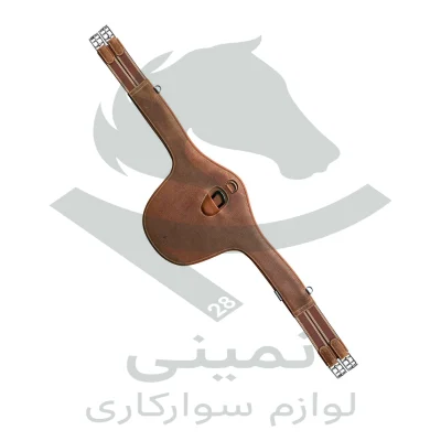 تنگ پرش پرستیژ