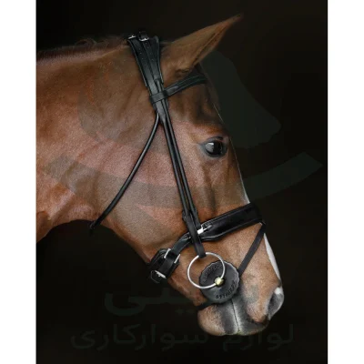 محافظ دهنی ، اکاوالا