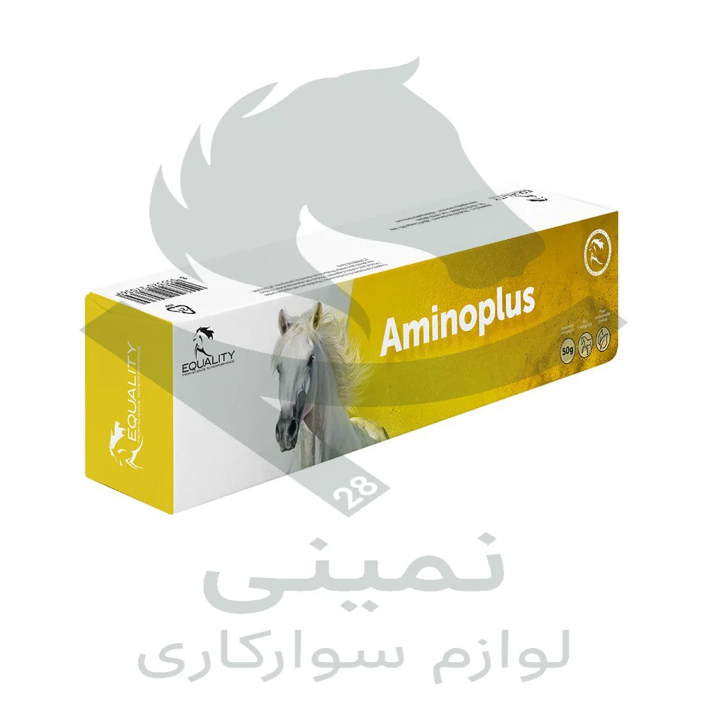 خمیر خوراکی Equality Aminoplus